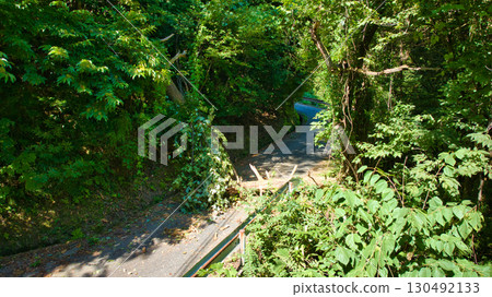 富山縣朝日町一棵倒下的大樹堵塞了山路 130492133