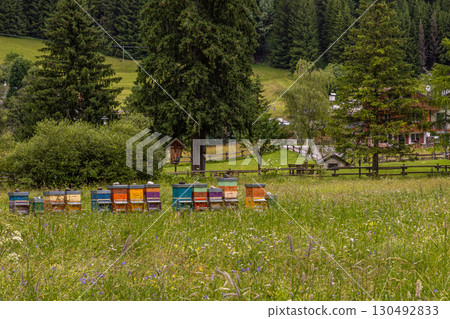 Colorful Beehives Field Colorful Beehives Field 130492833