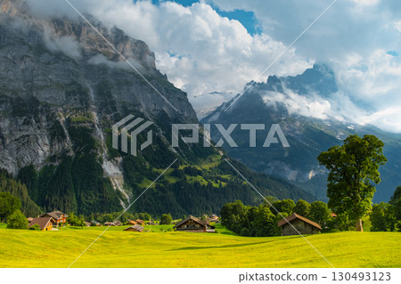 Majestic mountains rise in the background as quaint wooden cabins dot green landscape. A winding path guides a visitor through this serene Swiss alps. Grindelwald Jungfrau Bernese alps Switzerland. Majestic mountains rise in the background as quaint wooden cabins dot green landscape. A winding path guides a visitor through this serene Swiss alps. Grindelwald Jungfrau Bernese alps Switzerland. 130493123