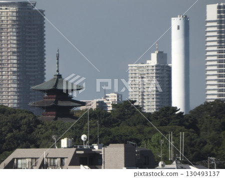 Skyscrapers and Five-Story Pagodas: A Landscape of Traditional and Modern Tokyo Skyscrapers and Five-Story Pagodas: A Landscape of Traditional and Modern Tokyo 130493137