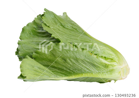 Whole fresh romaine salad, lettuce head isolated on white background, healthy raw leafy vegetable 130493236