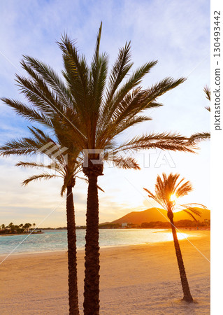 Alcudia Majorca at sunset on the beach Mallorca 130493442