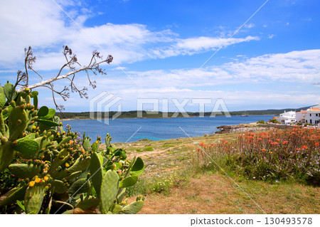 Fornells es Mercadal in Menorca at Balearic islands 130493578