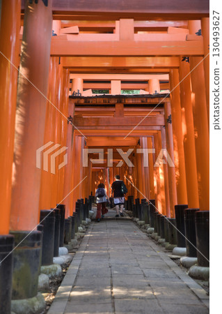 稻荷神社伏見稻荷大社：陽光透過樹木照射在千鳥居上，十分美麗 9 130493627