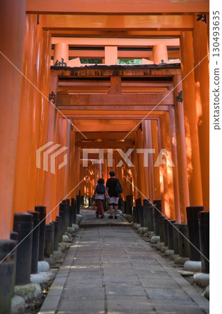 Inari Shrine Fushimi Inari Taisha Shrine: 10 Thousand Torii Gates with Beautiful Sunlight Filtering Through the Trees 130493635