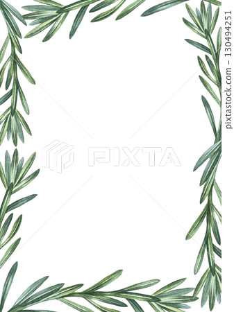 Vertical frame with sprigs of spicy rosemary. Hand-drawn watercolor illustration. Image of spicy greens. Perfect for menus, recipe books, packaging, labels, and more. 130494251