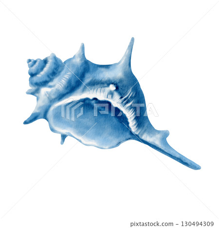 A twisted spiky seashell in monochrome blue watercolor.Illustration with fluid washes and delicate ink lines,capturing its textured form.For marine themes parties,coastal designs,nautical branding 130494309