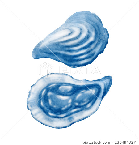 Oyster shells reveal their pearlescent inner and textured outer forms in a serene blue watercolor study.Monochrome illustration for coastal and marine themes,fish restaurant design projects Oyster shells reveal their pearlescent inner and textured outer forms in a serene blue watercolor study.Monochrome illustration for coastal and marine themes,fish restaurant design projects 130494327