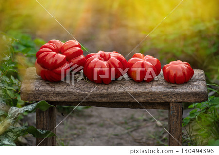 Red ribbed tomatoes on a wooden surface. Tomatoes on wooden table. Colorful tomatoes on a table. 130494396