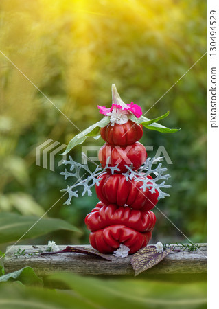 Red ribbed tomatoes on a wooden surface. Floral composition with tomatoes for the harvest festival 130494529