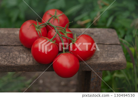 Fresh round red tomatoes on rustic wooden background. Fresh ripe organic garden tomatoes on wooden table. Fresh round red tomatoes on rustic wooden background. Fresh ripe organic garden tomatoes on wooden table. 130494530
