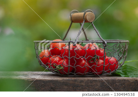 Red tomatoes in metal mesh basket utdoors. Tomatoes cherry variety shape. Wicker metal mesh basket with cherry tomatoes 130494538