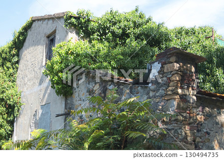 Old stone house in thicket of green plants on sunny day in summer. Buildings and constructions in Europe, Italy. 130494735