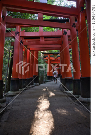稻荷神社 伏見稻荷大社：12,000 個鳥居，陽光透過樹木灑落，十分美麗 130494795