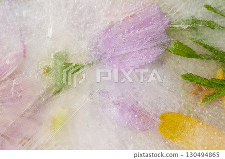 Various flowers in ice. Creative floral background. Frozen beautiful plants. 130494865