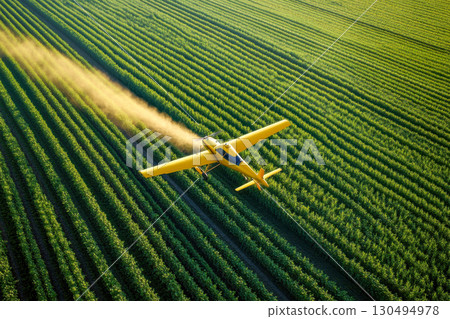 Aerial view of yellow crop duster plane flying over vast green farm fields, spraying a thick dust cloud over rows of healthy crops. Aerial view of yellow crop duster plane flying over vast green farm fields, spraying a thick dust cloud over rows of healthy crops. 130494978