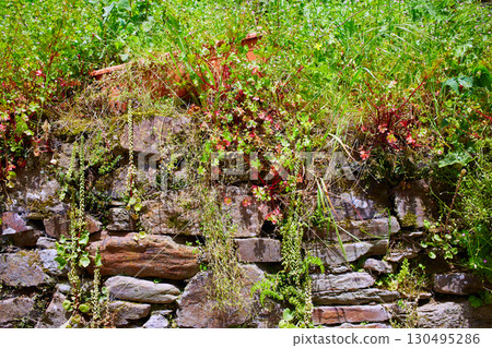 Way of Saint James slate stone in Galicia Way of Saint James slate stone in Galicia 130495286