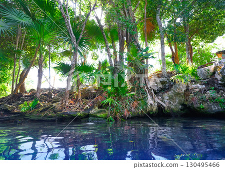 Cenote sinkhole in Riviera Maya of Mexico 130495466