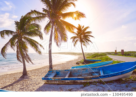 Chen Rio beach Cozumel island in Mexico 130495490