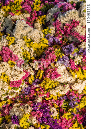Vertical frame of colorful dried statice flowers 130495528