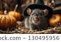 A cute rat wearing a black witch hat sits among pumpkins and straw, creating a whimsical and festive Halloween atmosphere in a rustic setting 130495956