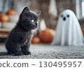 Cute black kitten sitting in living room decorated for Halloween with pumpkins and ghost in the background. Spooky and festive fall design idea. 130495957