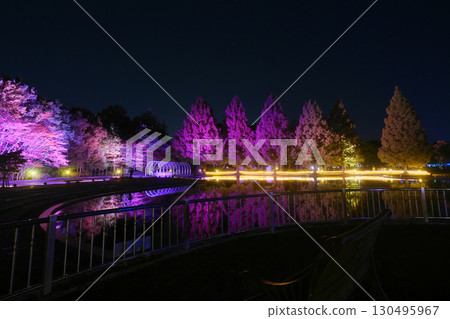 Autumn at Nanakita Park (Izumigaike Pond) [Sendai City, Miyagi Prefecture] 130495967