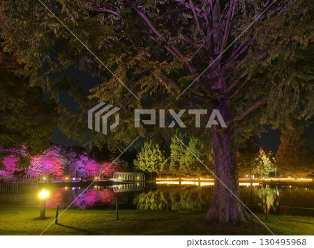 Autumn at Nanakita Park (Izumigaike Pond) [Sendai City, Miyagi Prefecture] 130495968