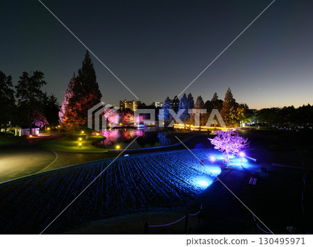 Nanakita Park in autumn (Sendai City, Miyagi Prefecture) 130495971