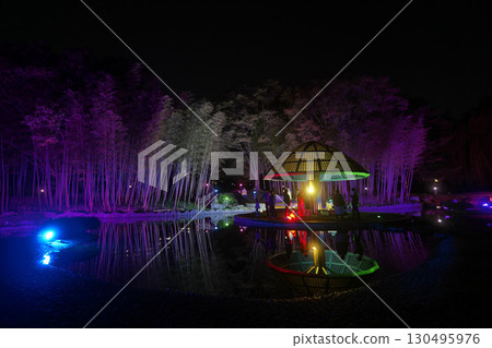 Autumn at Nanakita Park (Kamuli Pond) [Sendai City, Miyagi Prefecture] 130495976