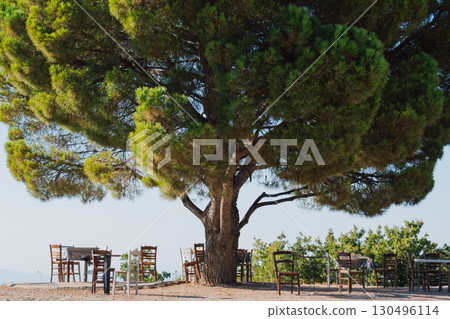 Authentic simple Cretan outdoor cafe in mountains with wooden chairs and tables under pine tree. 130496114