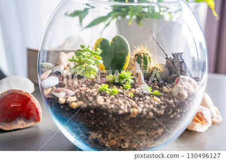 Close up view of completed terrarium with cacti, stones and decorative elements in a glass container. Concept of eco-friendly home decor, natural design and handcrafted botanical arrangement Close up view of completed terrarium with cacti, stones and decorative elements in a glass container. Concept of eco-friendly home decor, natural design and handcrafted botanical arrangement 130496127