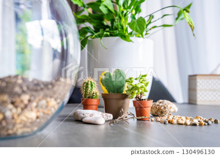 Close up view of natural materials and decorative elements prepared for creating a closed florarium or glass ecosystem. Concept of DIY plant design, eco-conscious living and creative home projects. 130496130