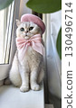 Adorable cat in pink beret and bow sitting by window 130496714