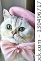 Adorable fluffy cat in pink beret and bow with green eyes 130496717