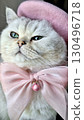 Regal cat with pink bow and hat: elegant feline portrait 130496718