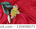 Lilies on red satin fabric background 130498073