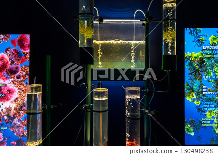 大阪世博會西班牙館 130498238