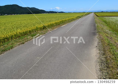 Paved farm roads and rural landscape 130498259