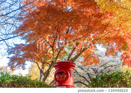 秋季國立市大學路旁的郵筒與紅葉 秋季國立市大學路旁的郵筒與紅葉 130498820