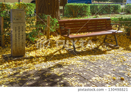 Autumn benches on the side street of Daigaku-dori in Kunitachi City 130498821