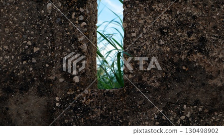 Green grass and a bright blue sky are visible through a narrow opening in an old, weathered stone wall. The scene captures a contrast between nature and the wall's texture. Green grass and a bright blue sky are visible through a narrow opening in an old, weathered stone wall. The scene captures a contrast between nature and the wall's texture. 130498902