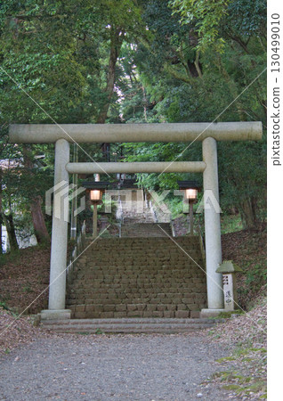 宮崎縣高千穗市天岩戶神社東本宮的鳥居與參道 宮崎縣高千穗市天岩戶神社東本宮的鳥居與參道 130499010