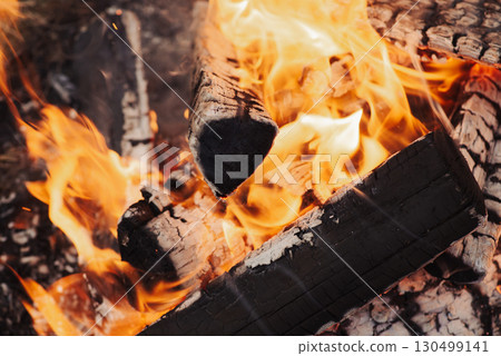 Close up on bonfire coal burning. Bright flame from burning firewood, preparing coals for making barbecue 130499141