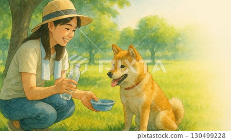 Owner giving water to Shiba Inu in the shade of a tree in summer to help him cope with the heat 130499228
