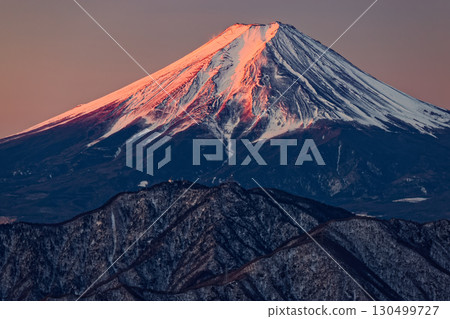 從大菩薩山脈的白穀丸眺望日出的富士山 130499727