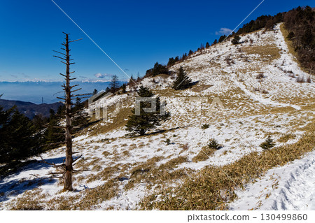 View of Mount Kumazawa and the Southern Alps from Ishimaru Pass in the Daibosatsu Range 130499860