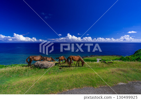 Higashizaki Observatory (Yonaguni Island) 130499925