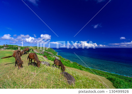 Higashizaki Observatory (Yonaguni Island) 130499926