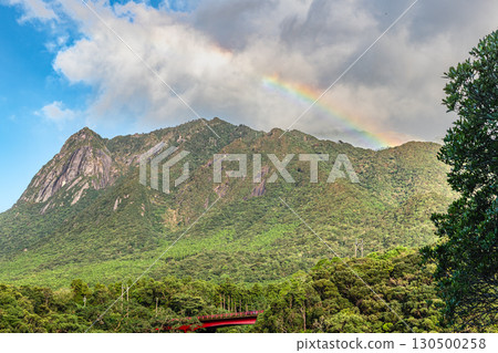 Yakushima World Natural Heritage Site: Mt. Mochomu and a beautiful rainbow (Autumn) Yakushima World Natural Heritage Site: Mt. Mochomu and a beautiful rainbow (Autumn) 130500258